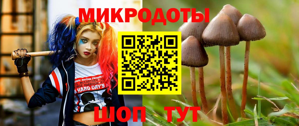 Псилоцибиновые грибы Psilocybine cubensis Обнинск