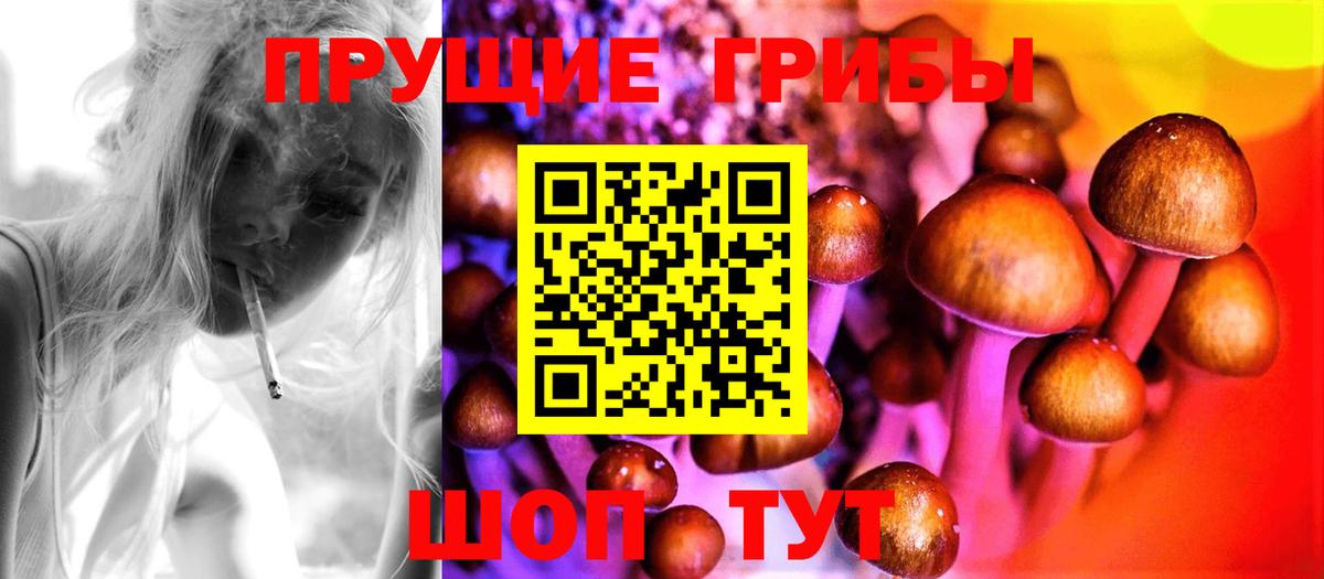 Псилоцибиновые грибы GOLDEN TEACHER  Псилоцибиновые грибы GOLDEN TEACHER  Обнинск  Вход с VPN 